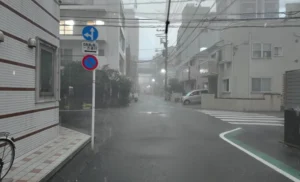 Record-breaking 110 mm Rain Per Hour in Tokyo