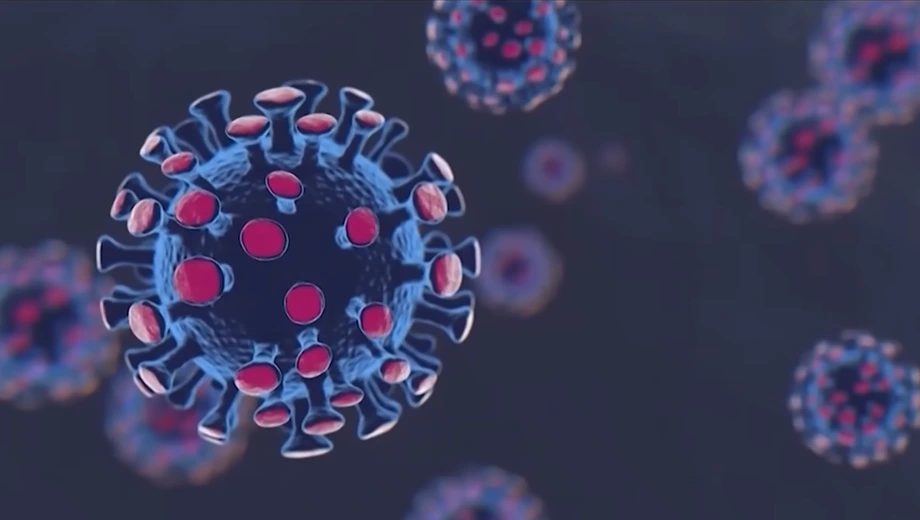 cicada covid variant