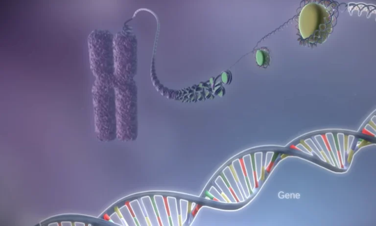 Your DNA May Determine How Much Weight You Lose on Ozempic and Wegovy, Study Finds