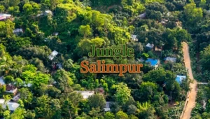 junlge salimpur