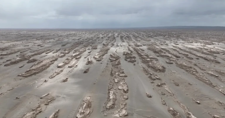 The Qaidam Basin: China’s Hidden Energy Arsenal and the Geopolitical Battle for Critical Minerals
