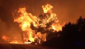europe wildfires
