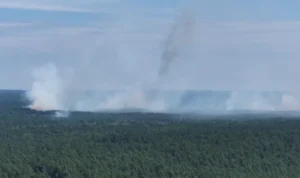 müritz nationalpark brand