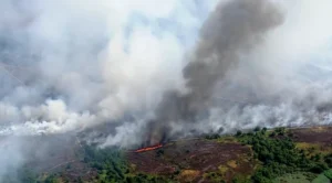 suffolk wildfire dunwich heath